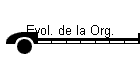 Evol. de la Org.
